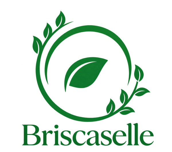 Briscaselle